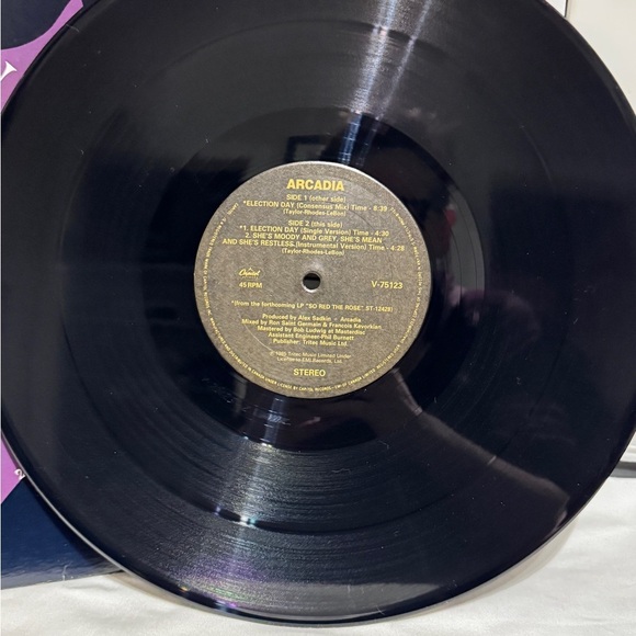 🎶✨ Arcadia – “Election Day” (The Consensus Mix) 12” Vinyl Single – 80s Gold ✨🎶 - Picture 4 of 16